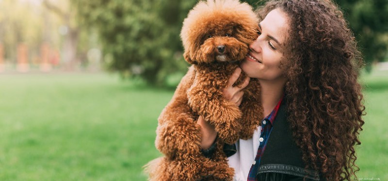 Kunnen honden mededogen voelen?