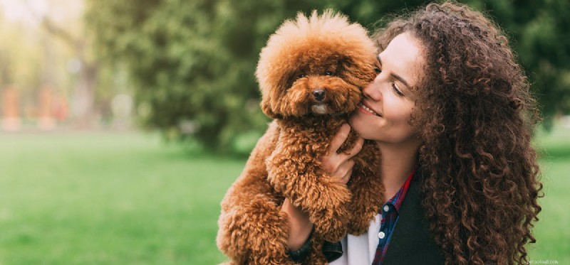 Mohou psi cítit vděčnost?