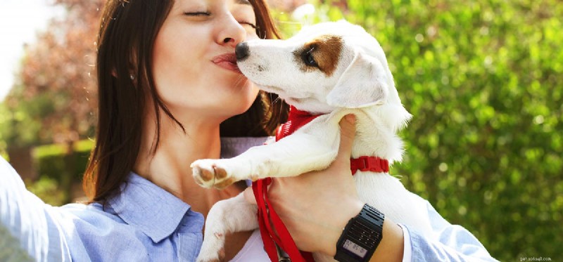 Os cães podem sentir beijos humanos?