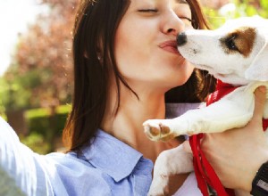 Cítí psi lidské polibky?