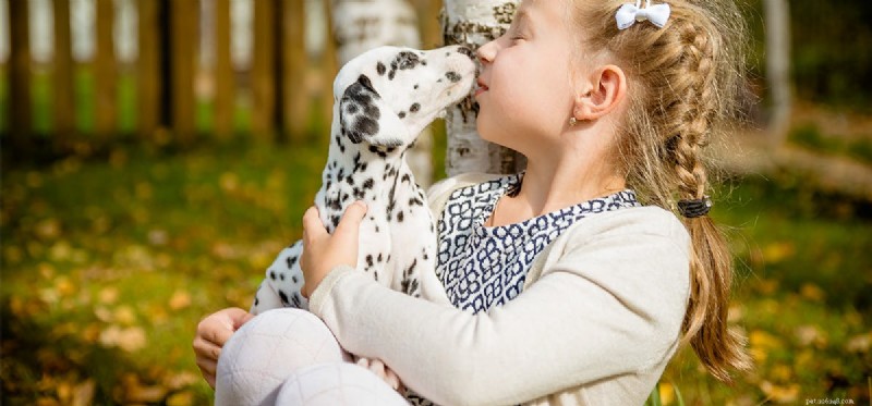 I cani possono sentire baci umani?