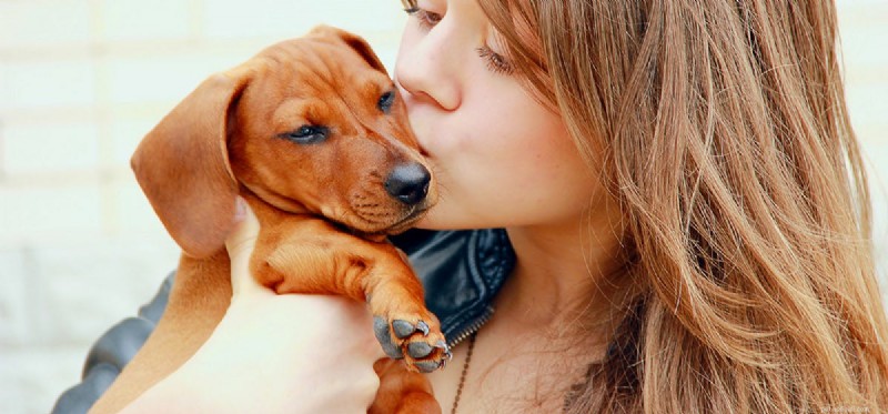 개는 자궁 안에서 아기의 소리를 들을 수 있습니까?