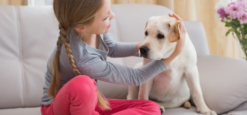 Kunnen honden beter horen dan mensen?