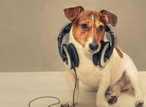 犬は高周波音を聞くことができますか?