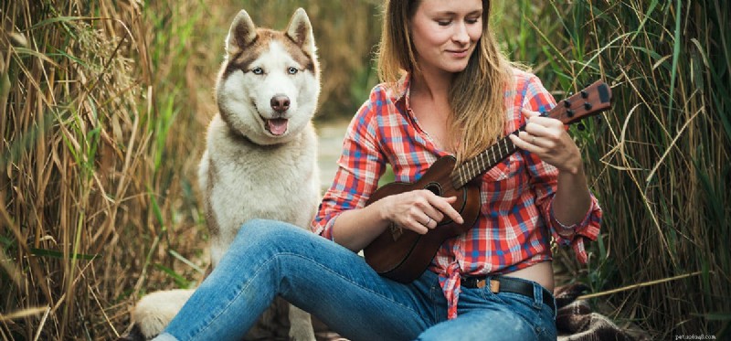 Os cães podem ouvir sons de alta frequência?