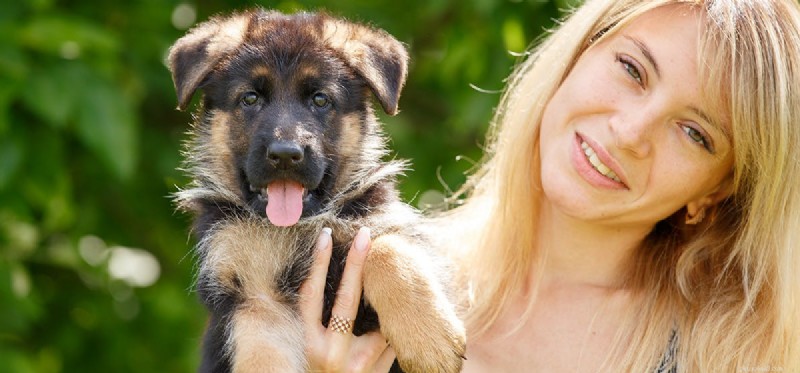 I cani possono sentire frequenze più basse degli umani?