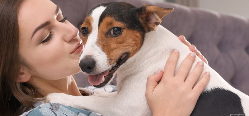 I cani possono sentire più degli umani?