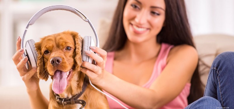 Mohou psi slyšet hudbu z reproduktorů?