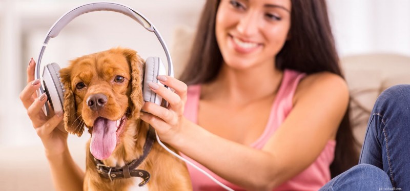 犬はヘッドフォンから音楽を聞くことができますか?