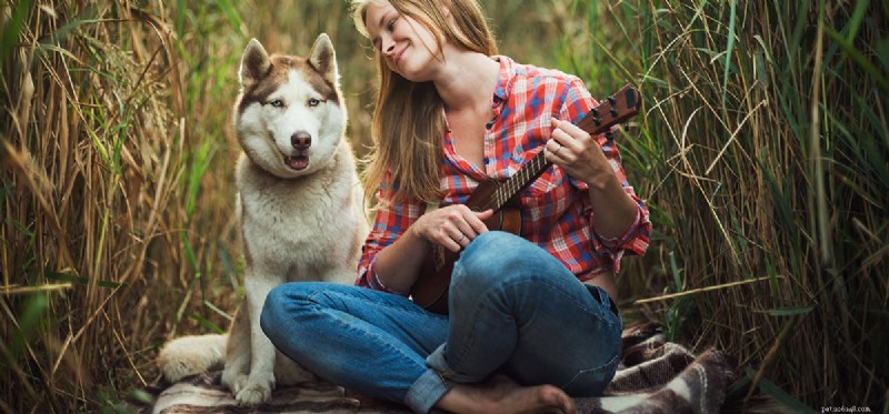 Os cães podem ouvir o canto?