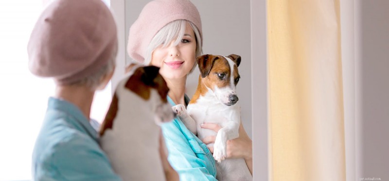 Les chiens peuvent-ils s identifier dans un miroir ?