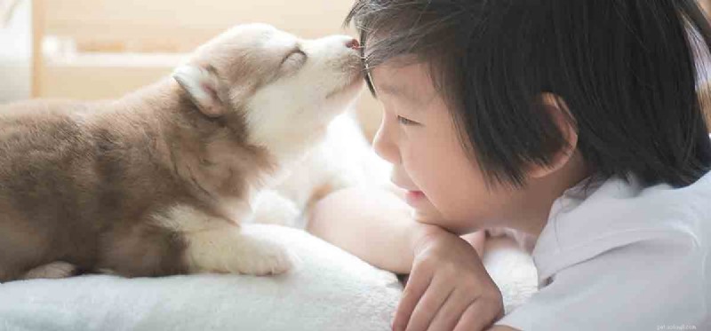 Umí psi líbat?