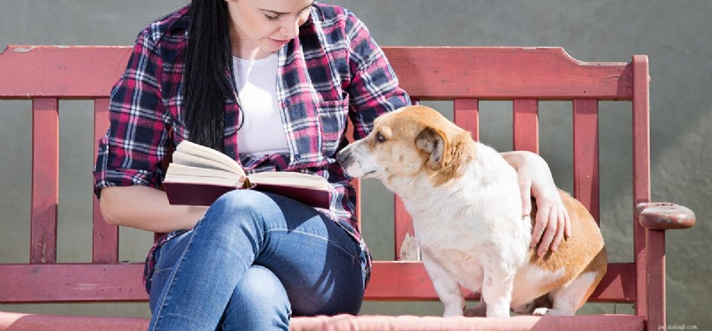 Mohou psi vědět, jak číst?