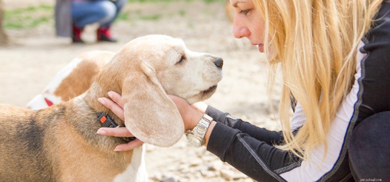 犬は話すことを学ぶことができますか?