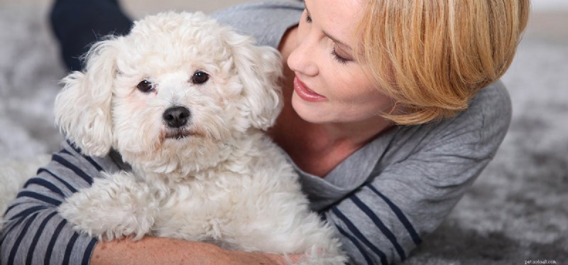 犬は話すことを学ぶことができますか?