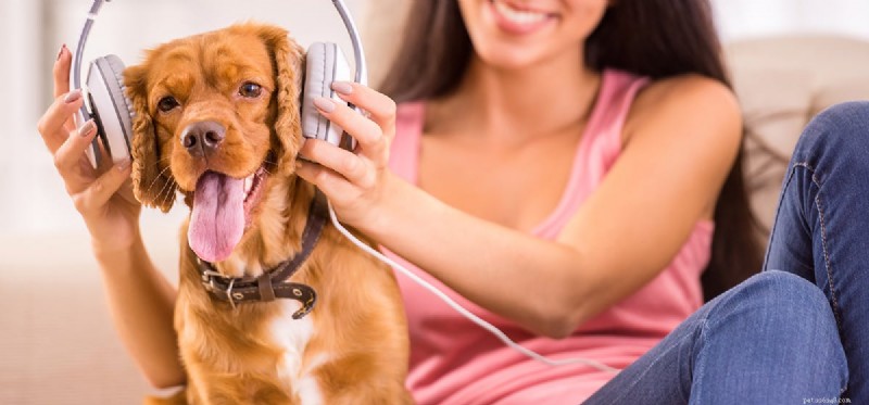 Kunnen honden van muziek houden?