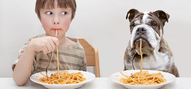 I cani possono vivere più a lungo mangiando cibo umano?