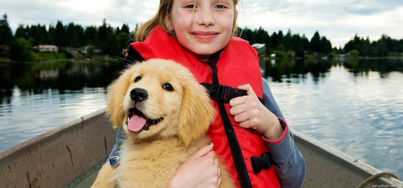 Os cães podem viver em barcos?