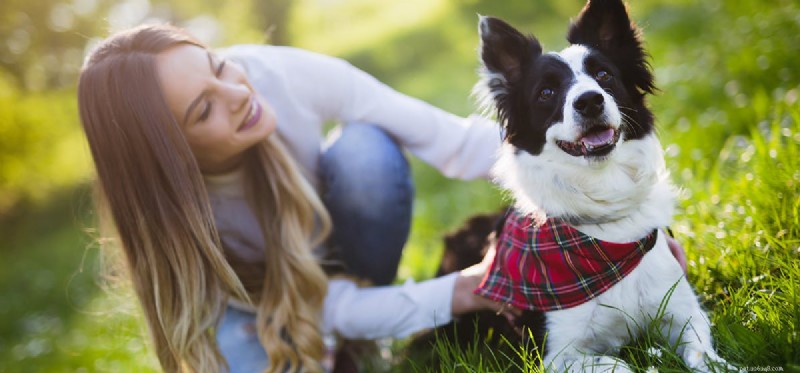 Kunnen honden alleen klinkers horen?