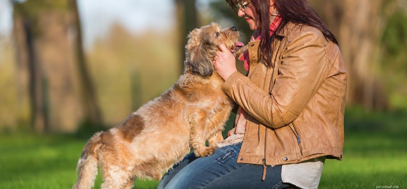 Kunnen honden alleen klinkers horen?