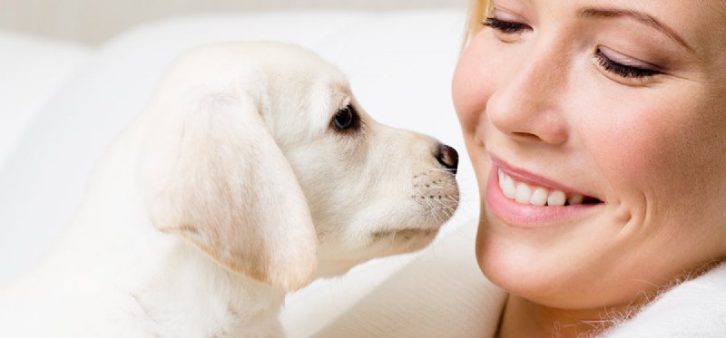 Могут ли собаки видеть человеческие зубы?