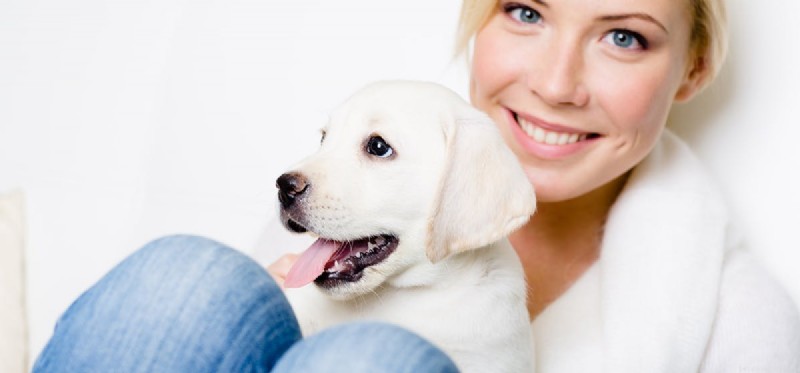 Могут ли собаки видеть человеческие зубы?