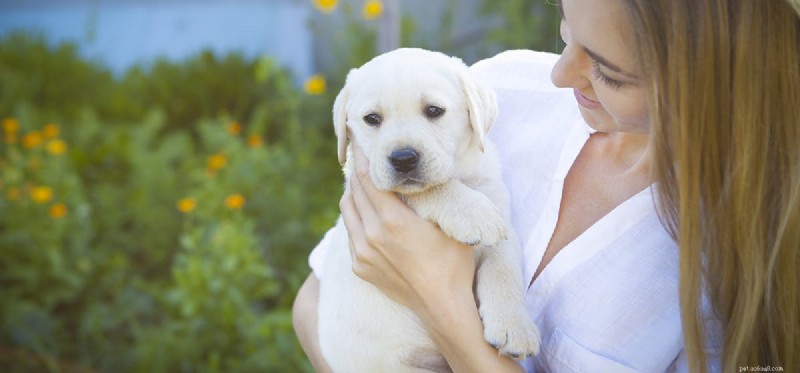 I cani possono capire se una persona è buona o cattiva?