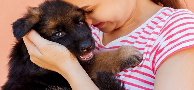 Kunnen honden voelen of een persoon goed of slecht is?