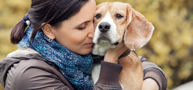 Os cães podem sentir o cheiro de depressão?