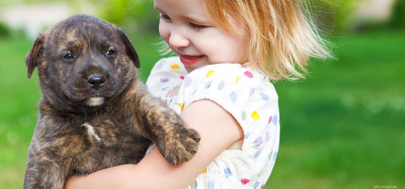 Les chiens peuvent-ils sentir l herbe gelée ?