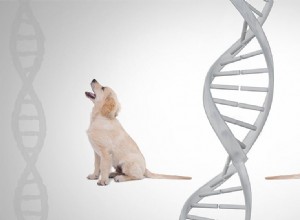 Os cães podem cheirar genes?
