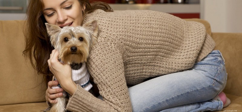 犬はストレスのにおいを嗅ぐことができますか?