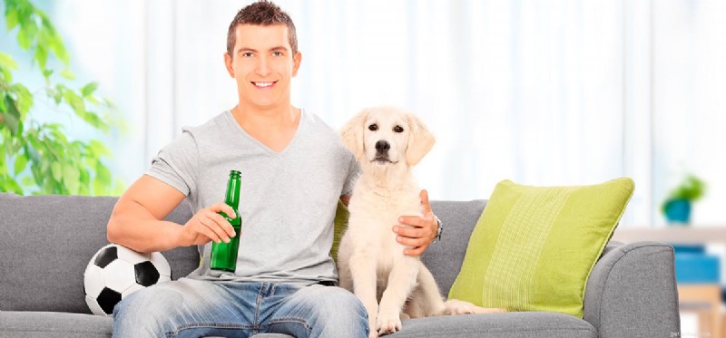 Os cães podem provar cerveja?