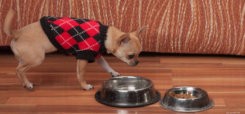Kunnen honden korrelig voedsel proeven?