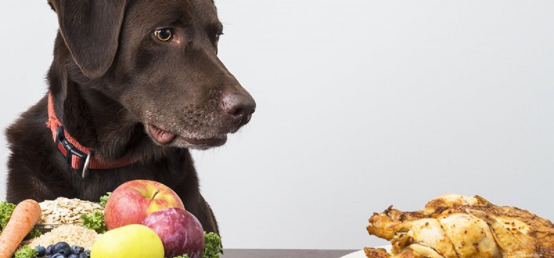 Kunnen honden vlezig voedsel proeven?