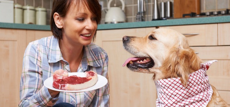 Kan hundar smaka köttig mat?