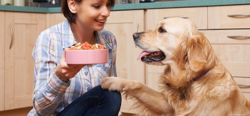 Kan hundar smaka på välsmakande mat?