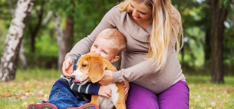 Могут ли собаки определить пол ребенка?
