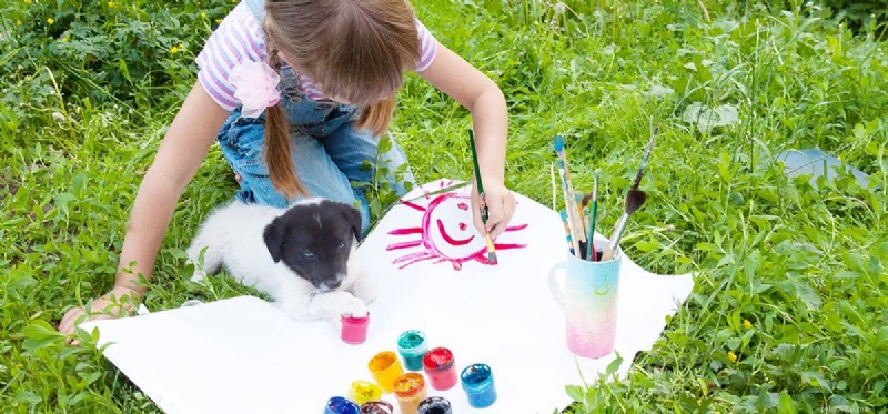 Os cães conseguem distinguir as cores?