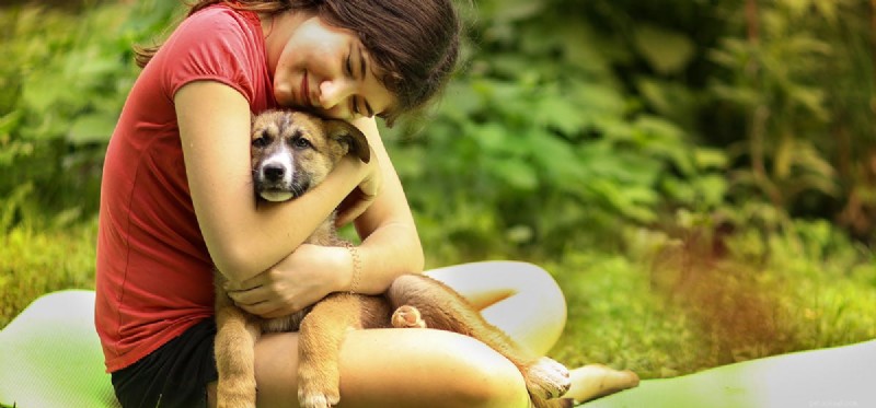 Могут ли собаки сказать, как сильно вы их любите?