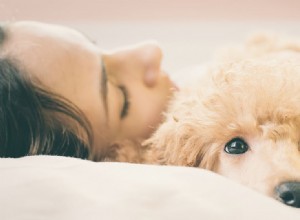개가 아픈 것을 알 수 있습니까?