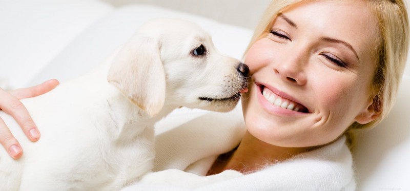 I cani possono raccontare le tue emozioni?