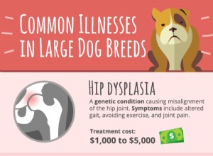 Распространенные болезни у крупных пород собак