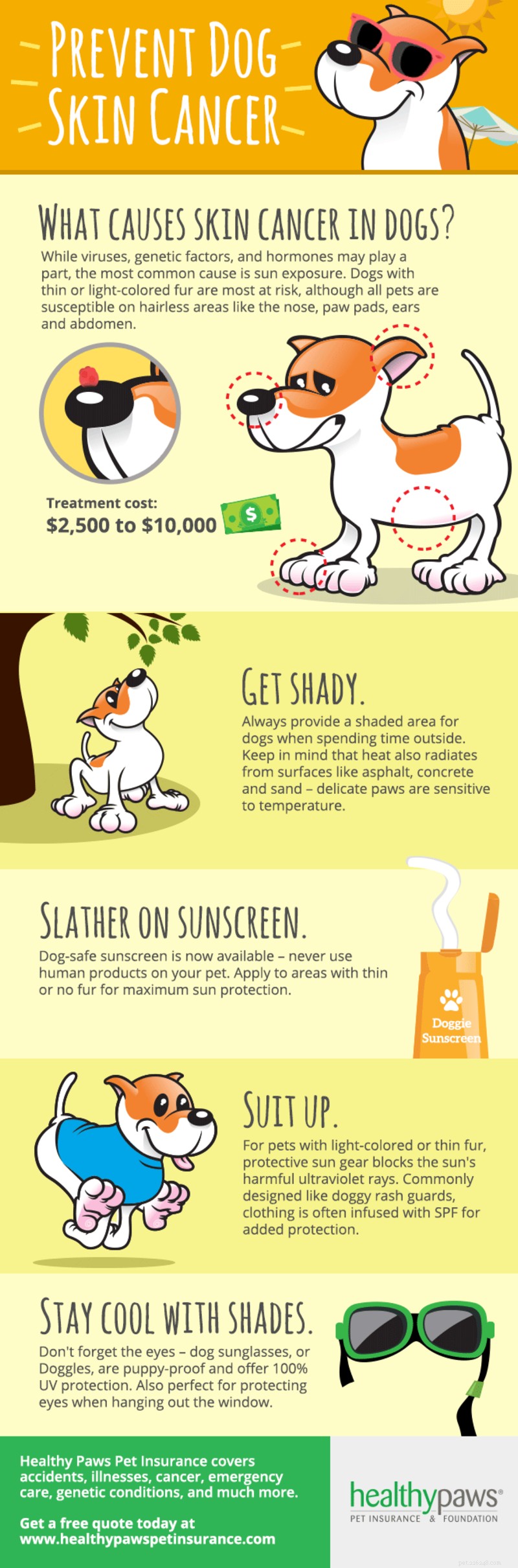 Prevenir o câncer de pele em cães