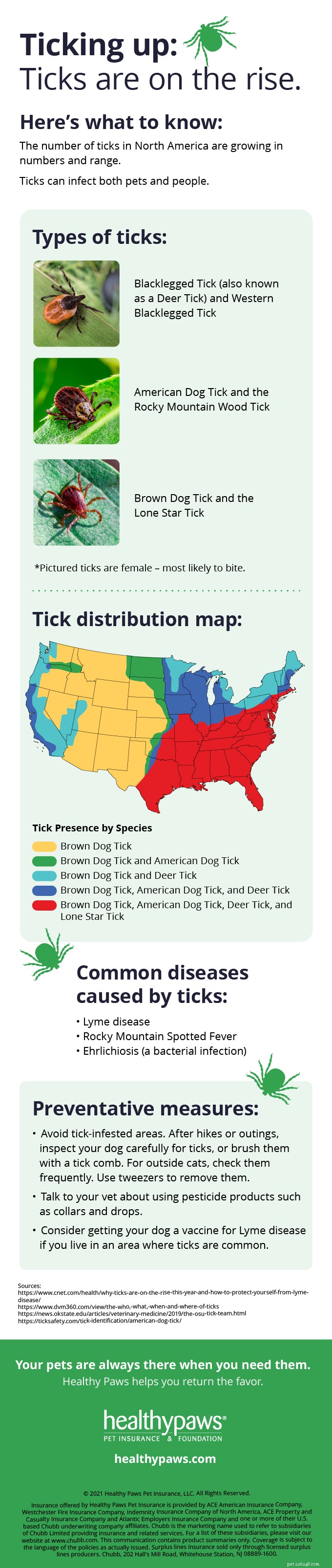 Tick-Borne Disease en uw hond