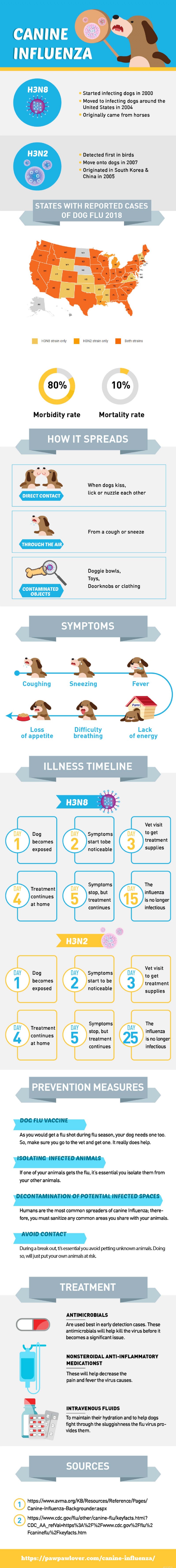 Wat is hondeninfluenza?