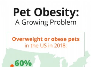 ペットの肥満:増大する問題