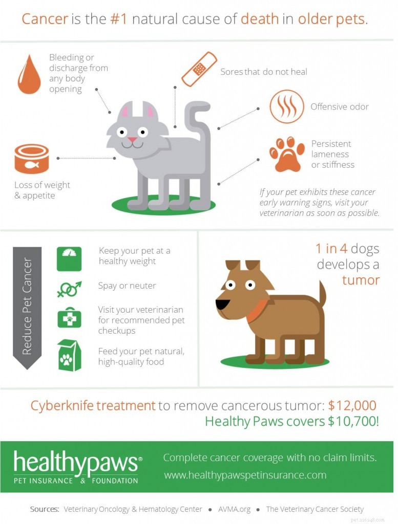 Inzicht in (en betalen voor) de kosten van kankerbehandeling voor uw huisdier