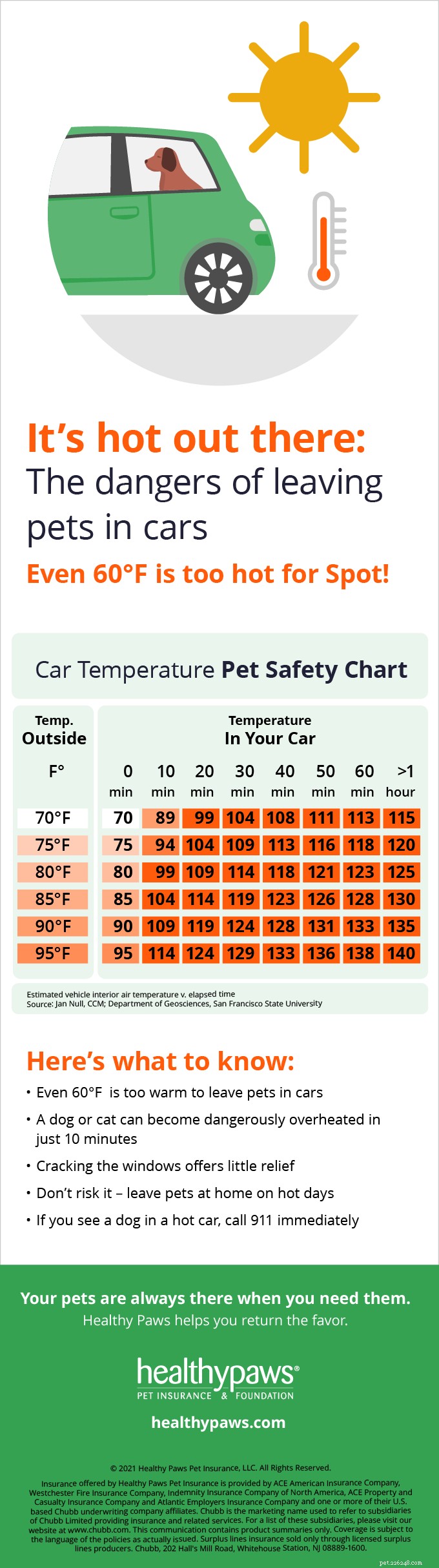 얼마나 더워요?:자동차 안의 애완동물에 대해 알아야 할 사항