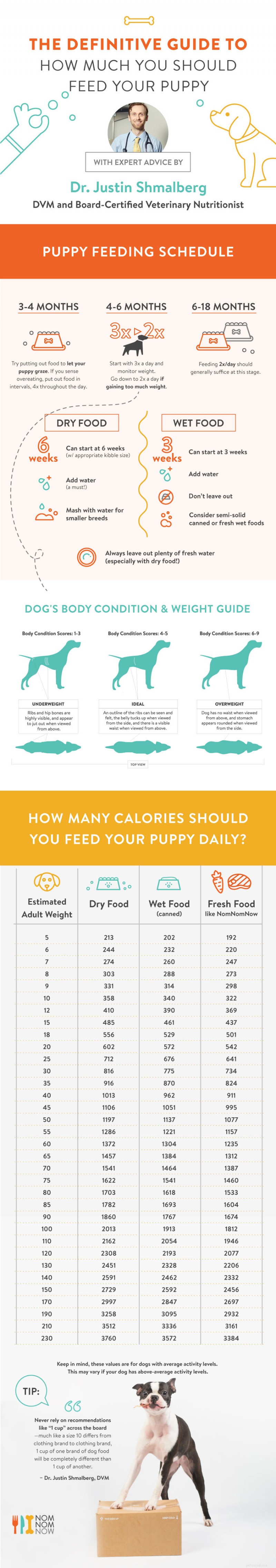 Guida definitiva di NomNomNow all alimentazione del tuo cucciolo